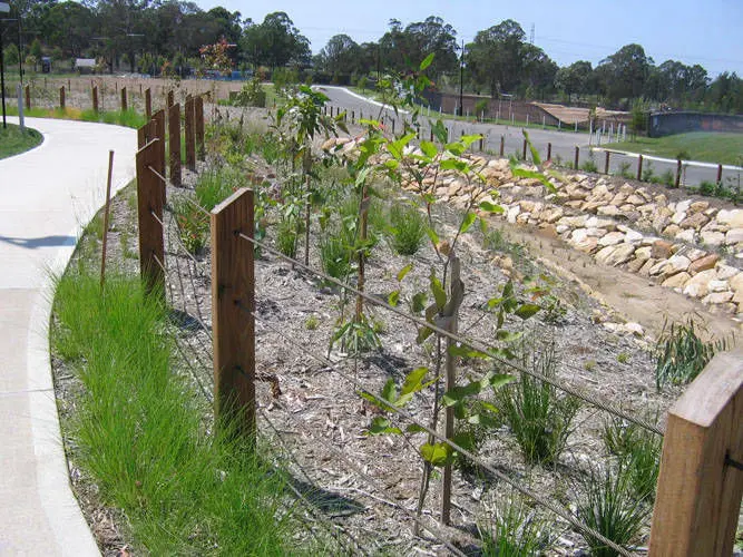 Garden Design